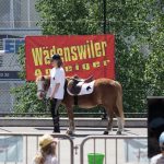 40 Jahre Ferienpass Wädenswil 1.6.2019