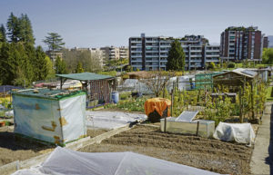 Familiengärtner Wädenswil